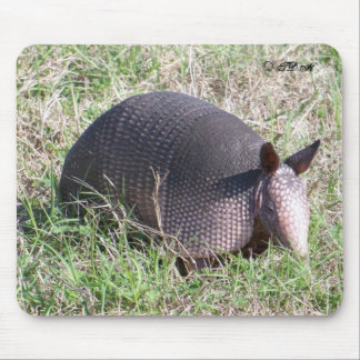 Baby Armadillo ©TDH Mouse Pad