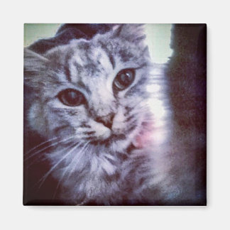 Baby Artemis  Magnet