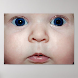 Baby Augen Poster