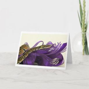 Baby Ball Python Greeting Card