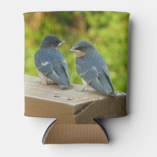 Baby Barn Swallows Nature Bird Photography Can Cooler