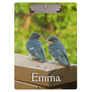 Baby Barn Swallows Nature Bird Photography Clipboard