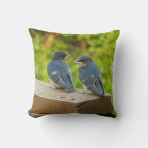 Baby Barn Swallows Nature Bird Photography Cushion