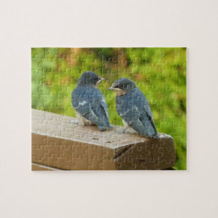 Baby Barn Swallows Nature Bird Photography Jigsaw Puzzle