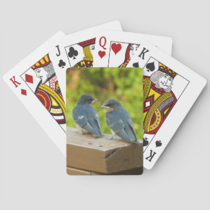 Baby Barn Swallows Nature Bird Photography Playing Cards