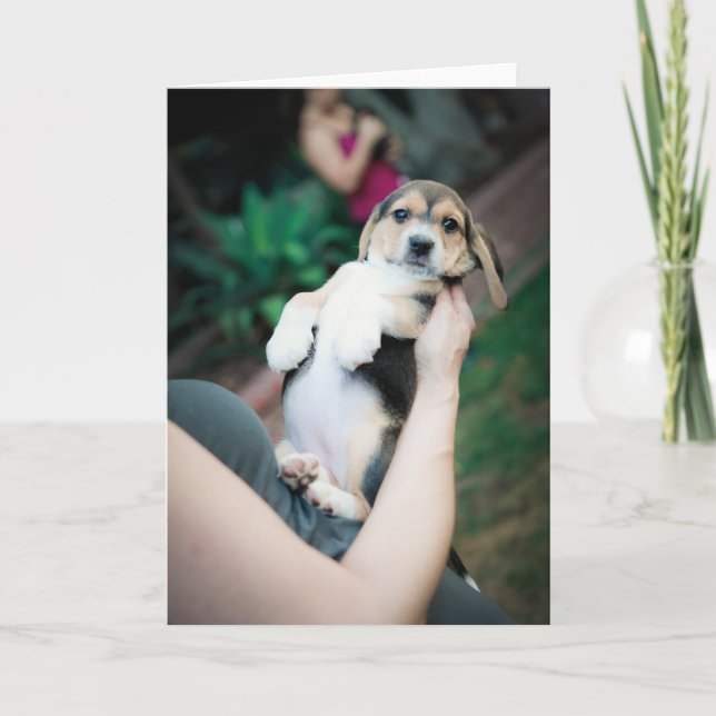 Baby Beagle Belly Card (Front)