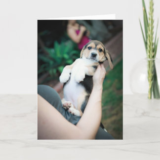 Baby Beagle Belly Card