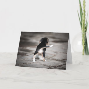 Baby Beagle Bottom Card