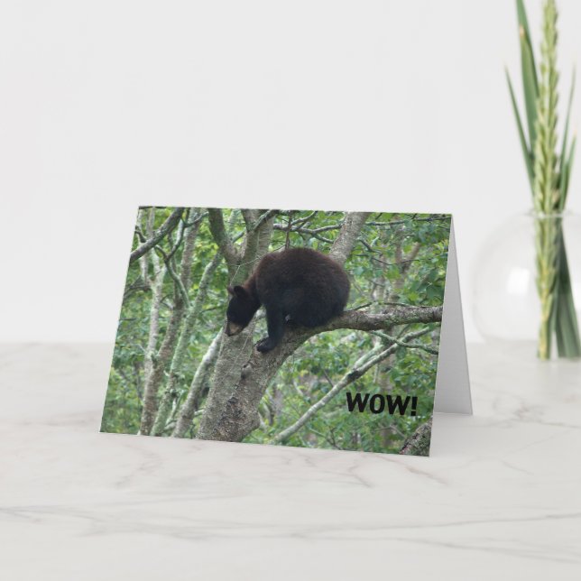 baby bear birthday card (Front)