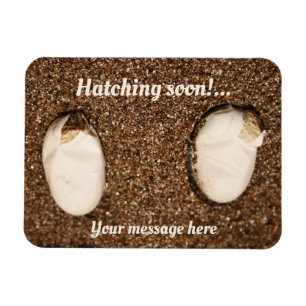 Baby Bearded Dragons Hatching! Magnet