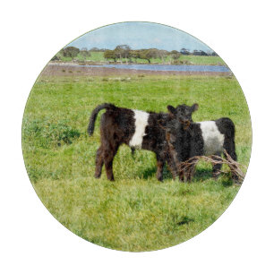 Baby Belted Galloway Calves, Cutting Board