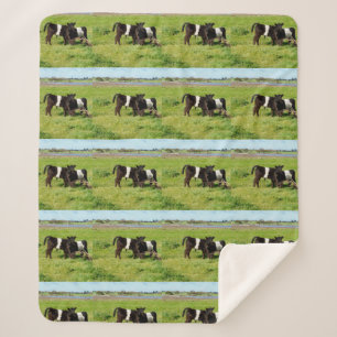 Baby Belted Galloway Calves, Med Sherpa Blanket