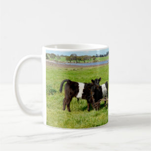 Baby Belted Galloway Cows In Country, Coffee Mug