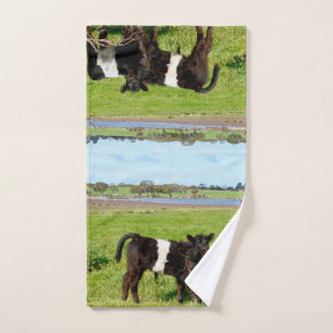 Baby Belted Galloway Cows In Country, Hand Towel