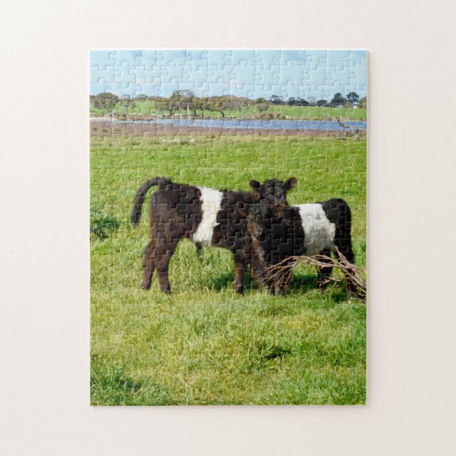 Baby Belted Galloway Cows In Country, Jigsaw Puzzle (Vertical)