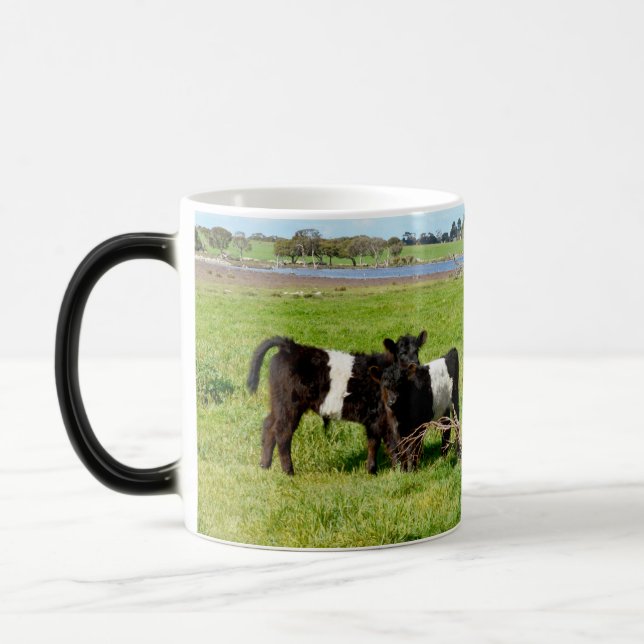 Baby Belted Galloway Cows In Country, Magic Mug (Left)