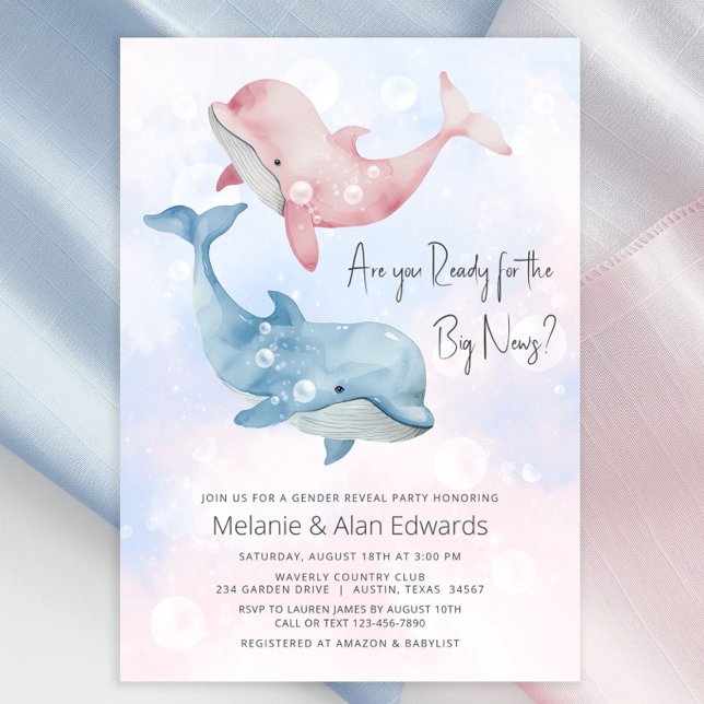 Baby Beluga Whale Gender Reveal Party Invitation (Cute whale gender reveal invitation with adorable pink and blue baby beluga whales.)