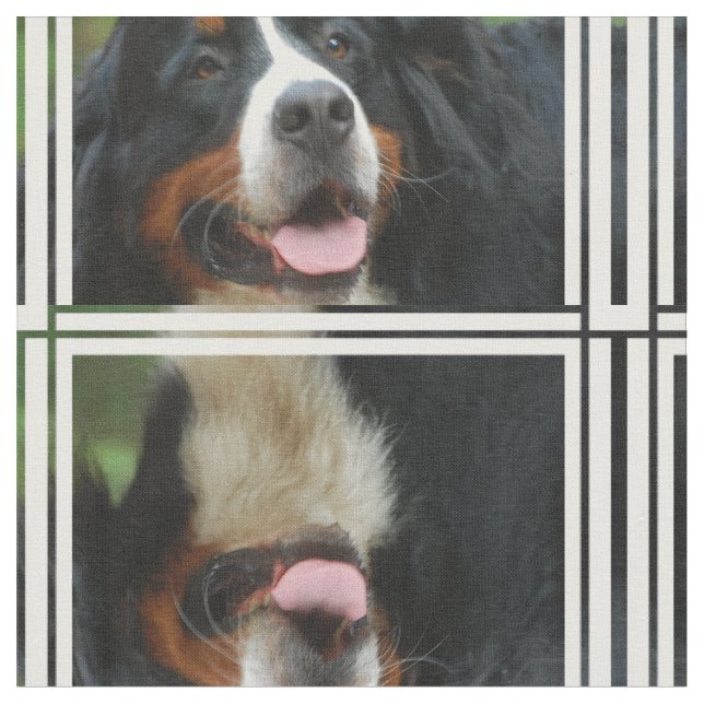 Baby  Bernese Mountain Dog Fabric (Close Up)