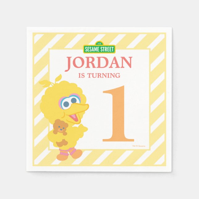 Baby Big Bird Birthday Paper Napkins (Front)