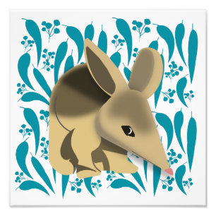 Baby Bilby Photo Print