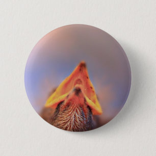 Baby Bird 2 6 Cm Round Badge