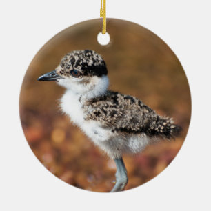 Baby Bird Ceramic Ornament