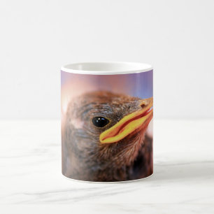 Baby Bird Coffee Mug
