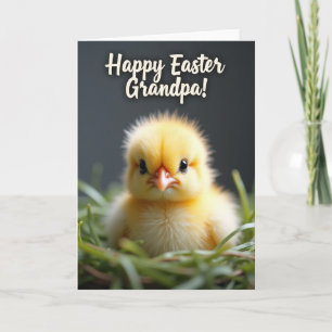 Baby Bird Greeting Card