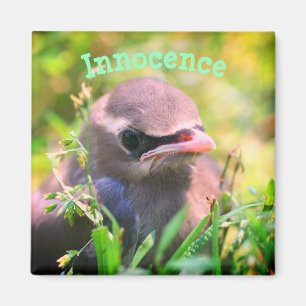 Baby Bird Innocence Inspirational Magnet