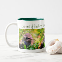 Baby Bird Inspirational Kindness Quote