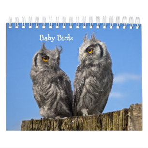 Baby Birds Calendar