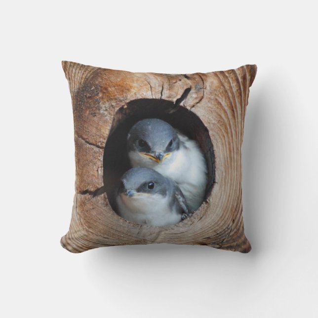 Baby Birds Cushion (Front)