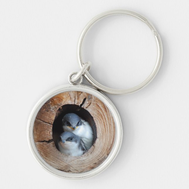 Baby Birds Key Ring (Front)