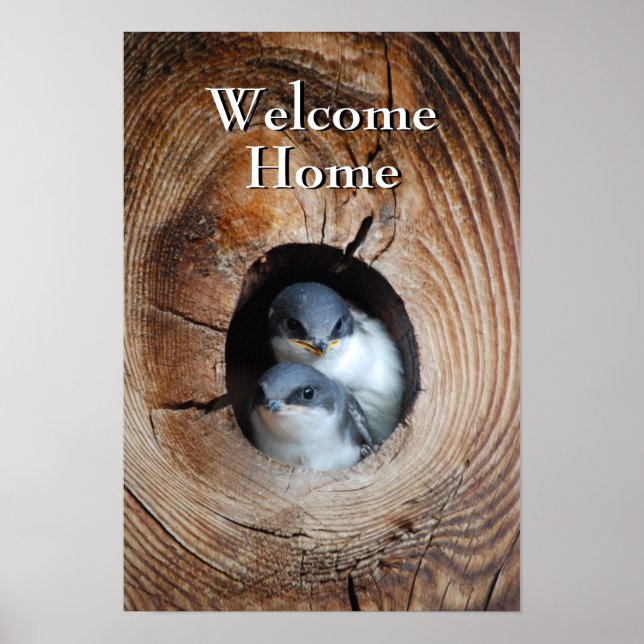 Baby Birds Poster (Front)