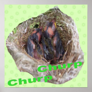 Baby Birds Poster