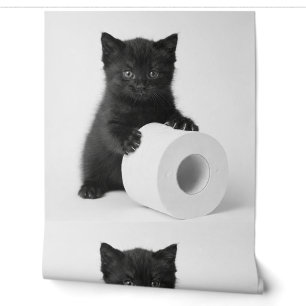 Baby Black Kitten Guarding Toilet Paper Roll On Wallpaper