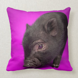 Baby Black Pig Cushion