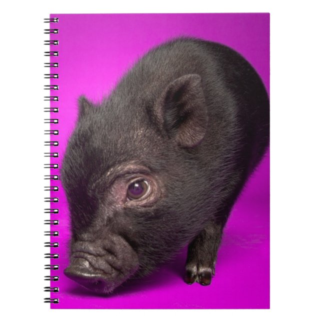 Baby Black Pig Notebook (Front)