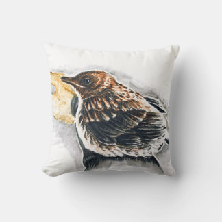 Baby blackbird cushion