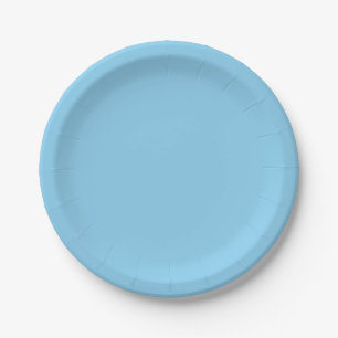 Baby Blue Paper Plate