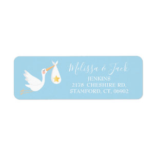 Baby Blue Special Delivery Stork Return Address Label