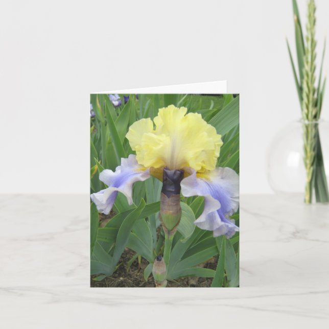 Baby Blue Yellow Small Blank Note Card (Front)