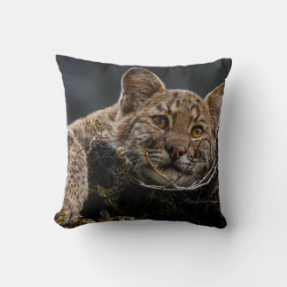 Baby Bobcat Lying in Tree Cushion