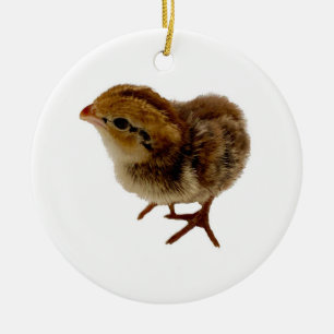 Baby Bobwhite Quail Ceramic Ornament