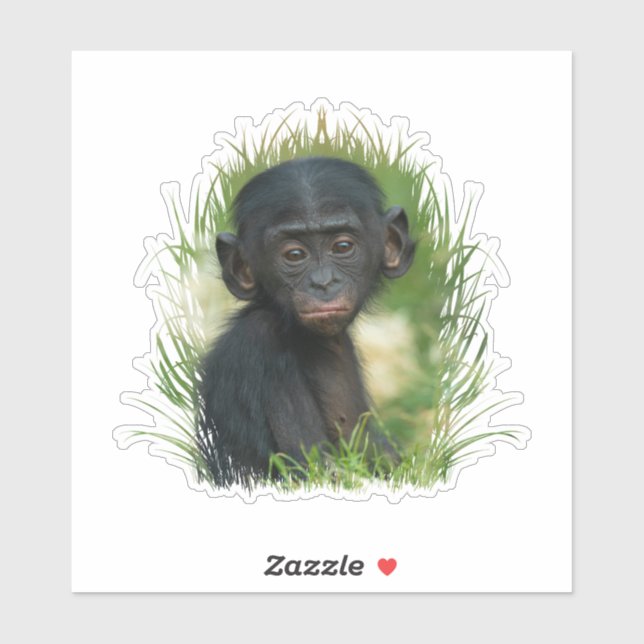 Baby Bonobo Ape (Sheet)