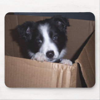 Baby Border Collie Mouse Pad