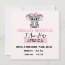 Baby Born Details Pink Koala