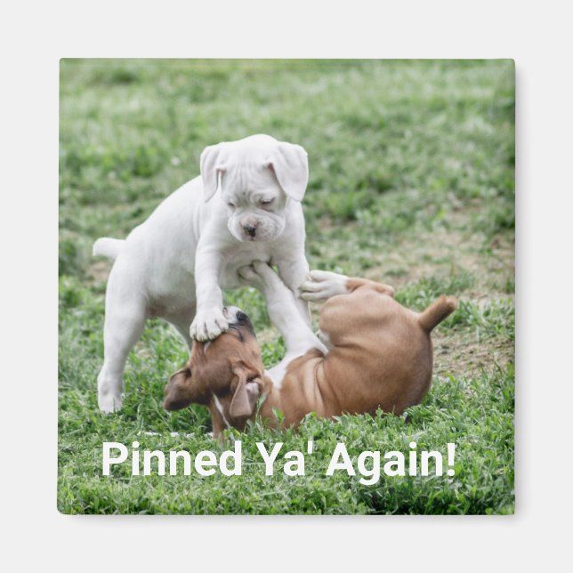 Baby Boxer Puppies Magnet (Front)