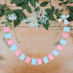 Baby Boy and Girl Twins Blue and Pink Bunting