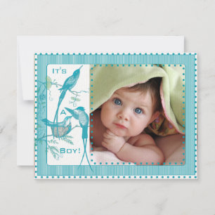 Baby Boy Aqua Vintage Birds Picture Announcement